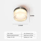 Nordic LED Minimalist Ceiling Light