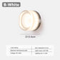 Nordic LED Minimalist Ceiling Light