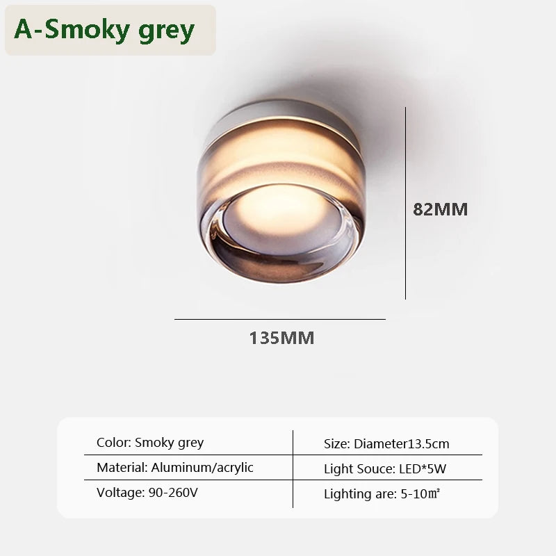 Nordic LED Minimalist Ceiling Light
